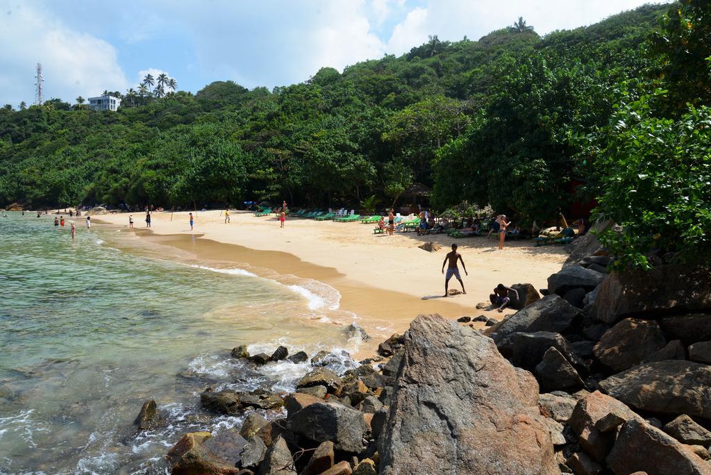 Jungle Beach Hostel Unawatuna Phòng bức ảnh