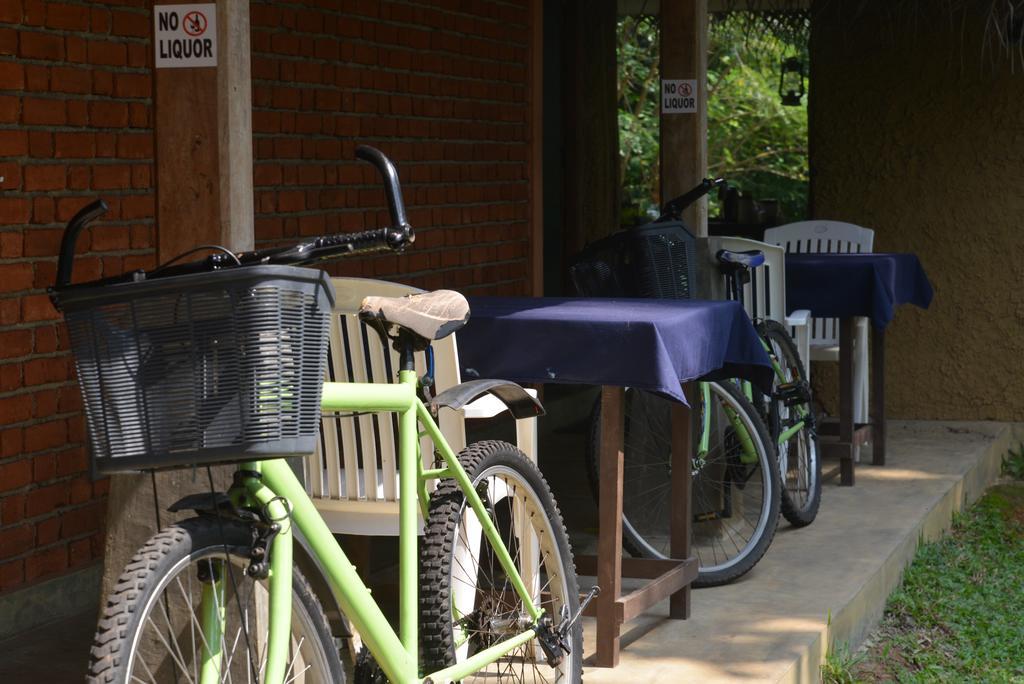 Jungle Beach Hostel Unawatuna Ngoại thất bức ảnh